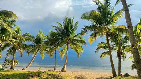 Quelles stratégies les villes adoptent-elles pour gérer le surtourisme ?